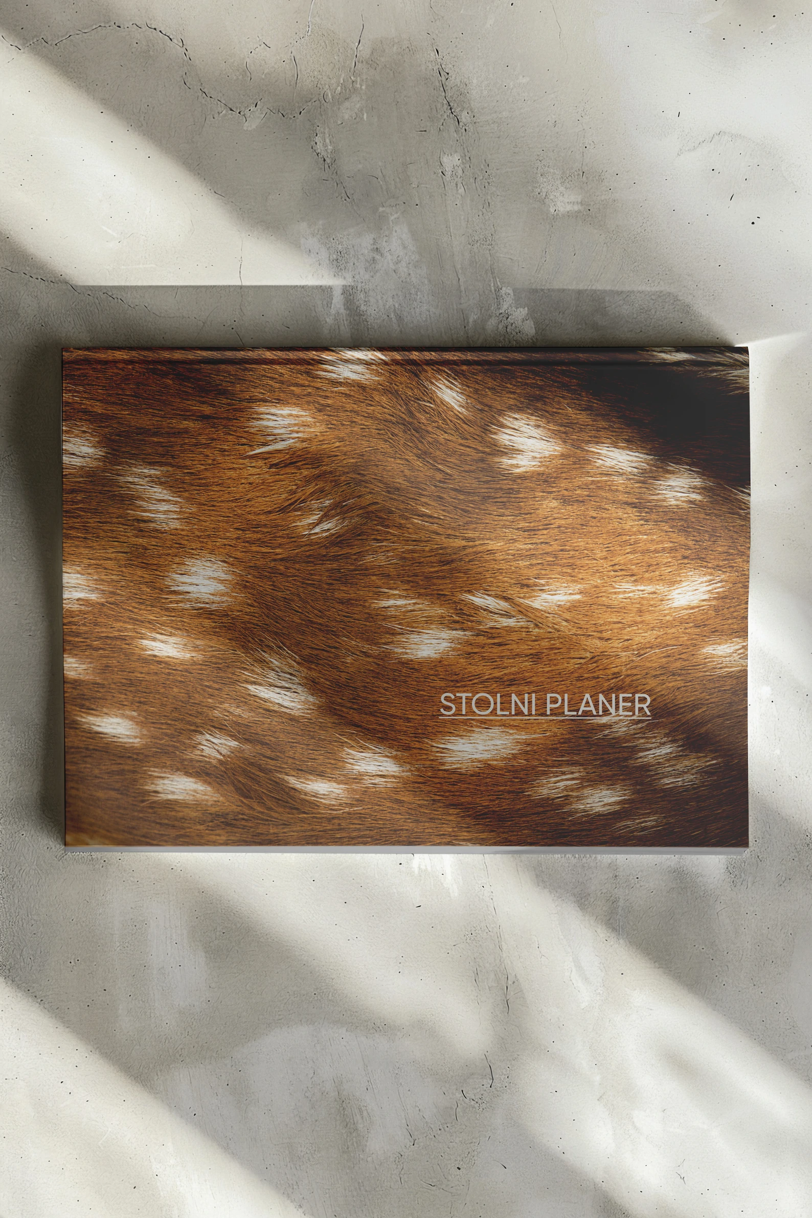Planer — slika 4