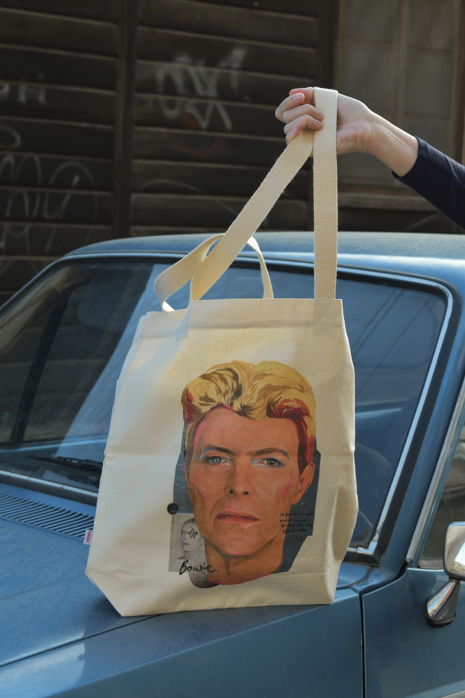 David Bowie ceger torba - Sanjar