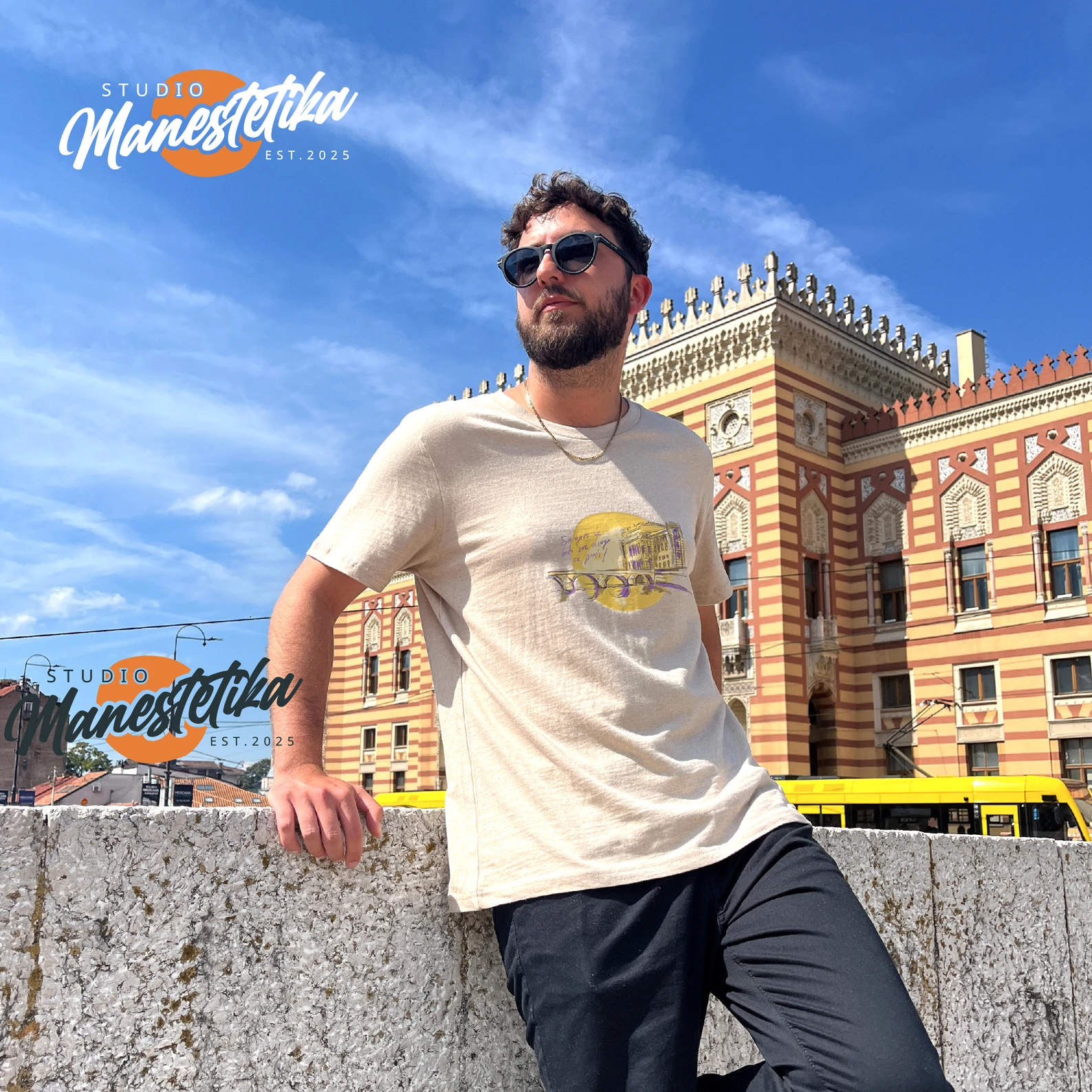 Manestetika Vijećnica 