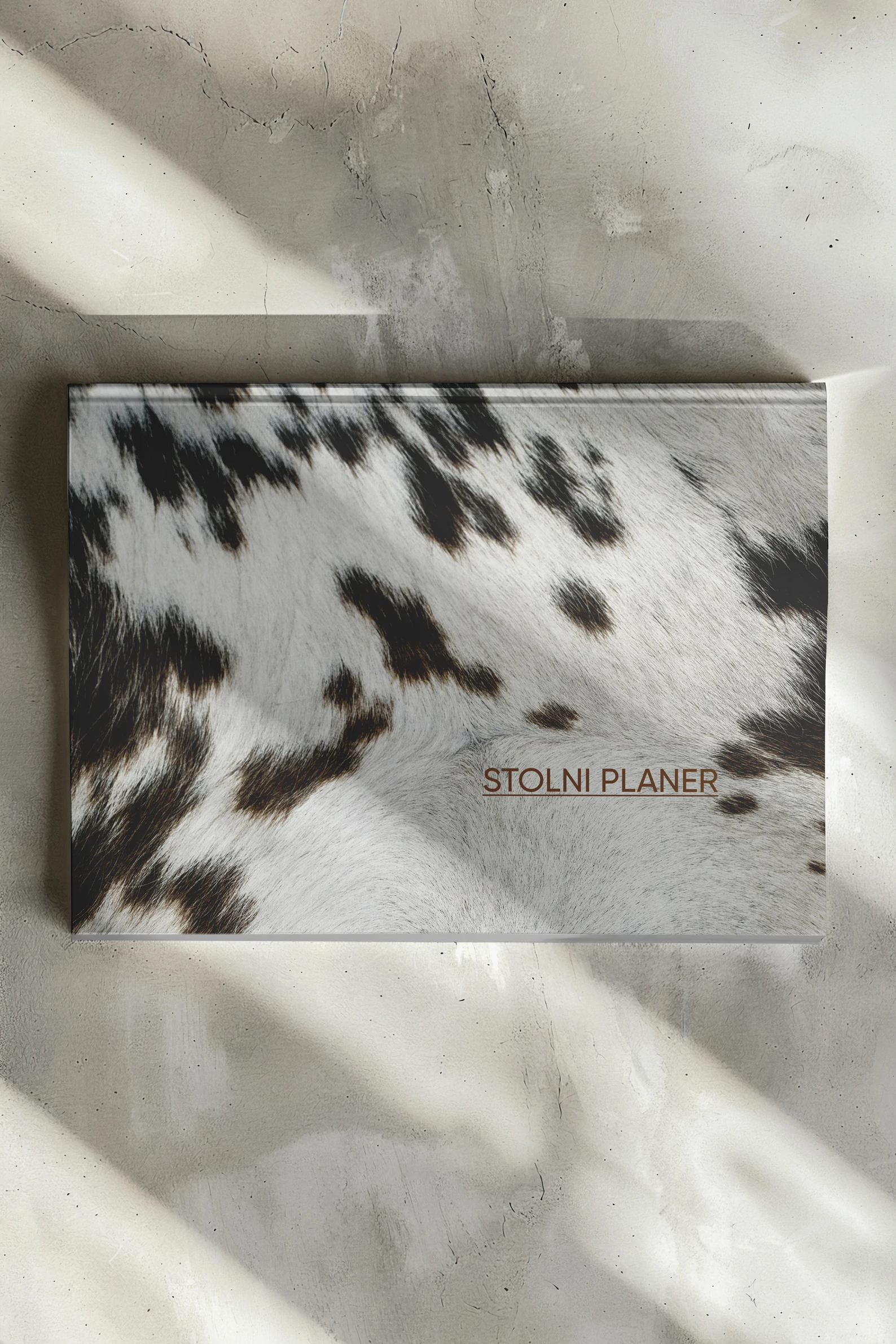 Planer — slika 5
