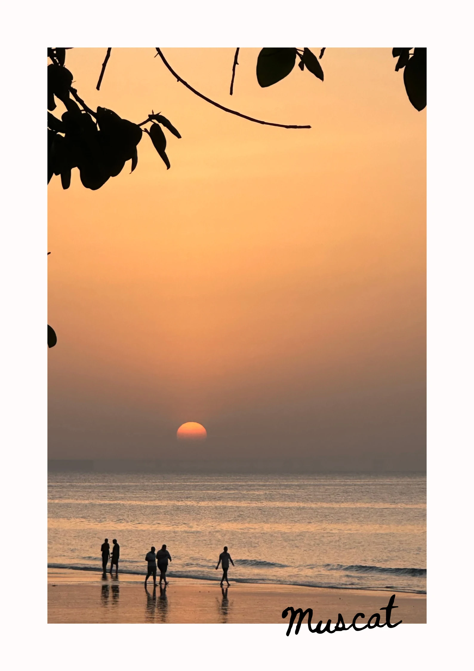 Poster OMAN — slika 3