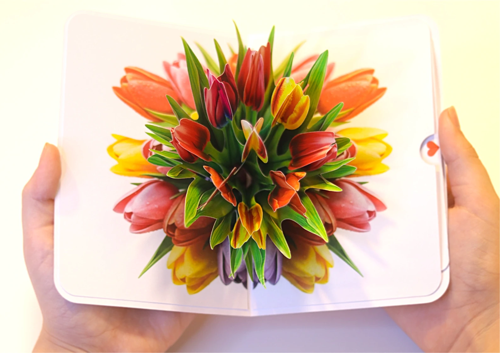 LUMI Pop-Up poklon- Tulipani