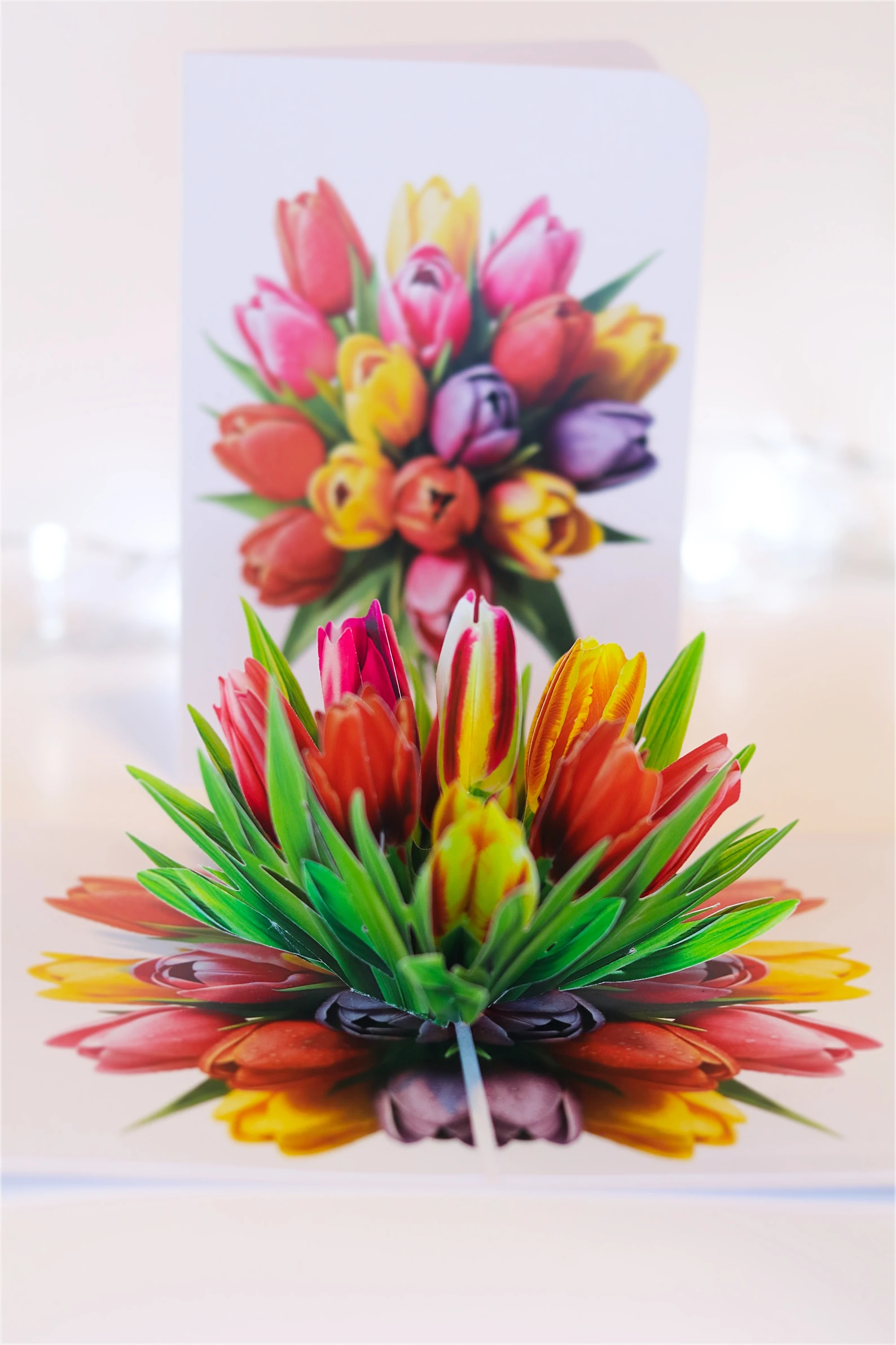 LUMI Pop-Up poklon- Tulipani — slika 3