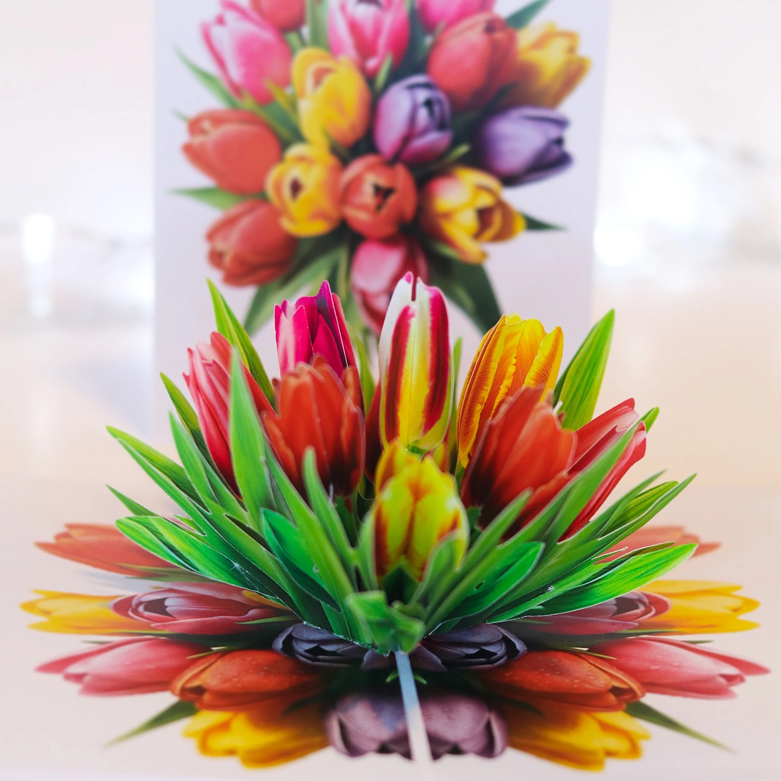 LUMI Pop-Up poklon- Tulipani