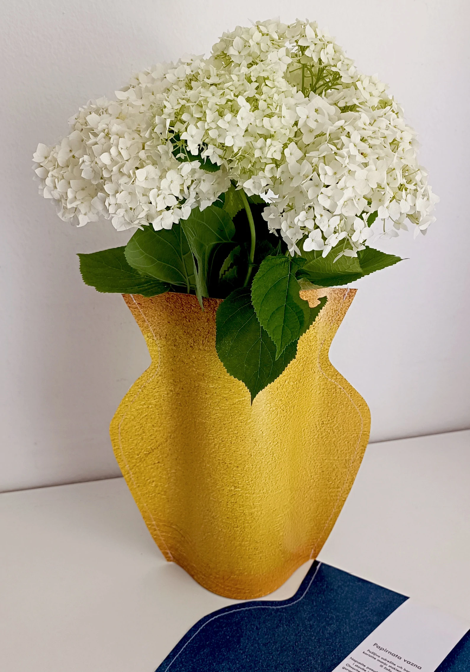 Papirnata vazna — slika 2