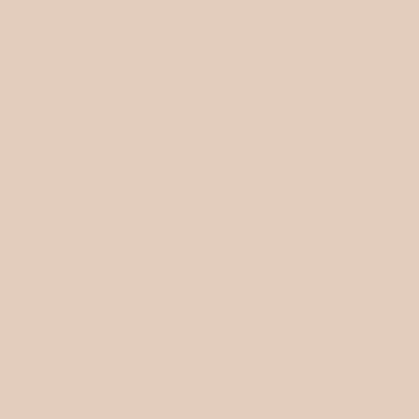 Calla Sweatshirt — slika 8