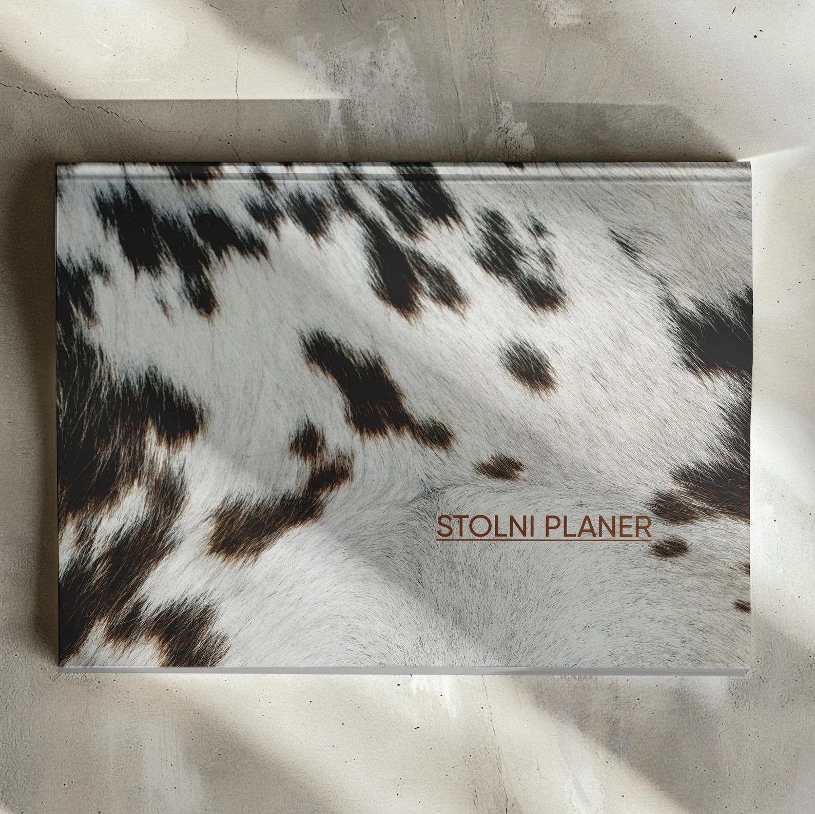 Planer