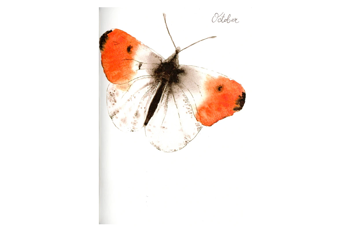 SET od 5 planera 2024/25 bez omota — slika 5