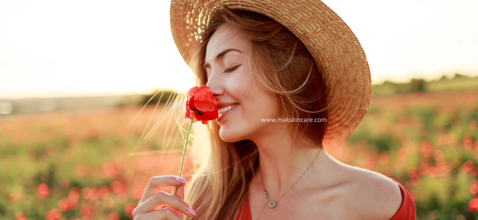 undefined banner